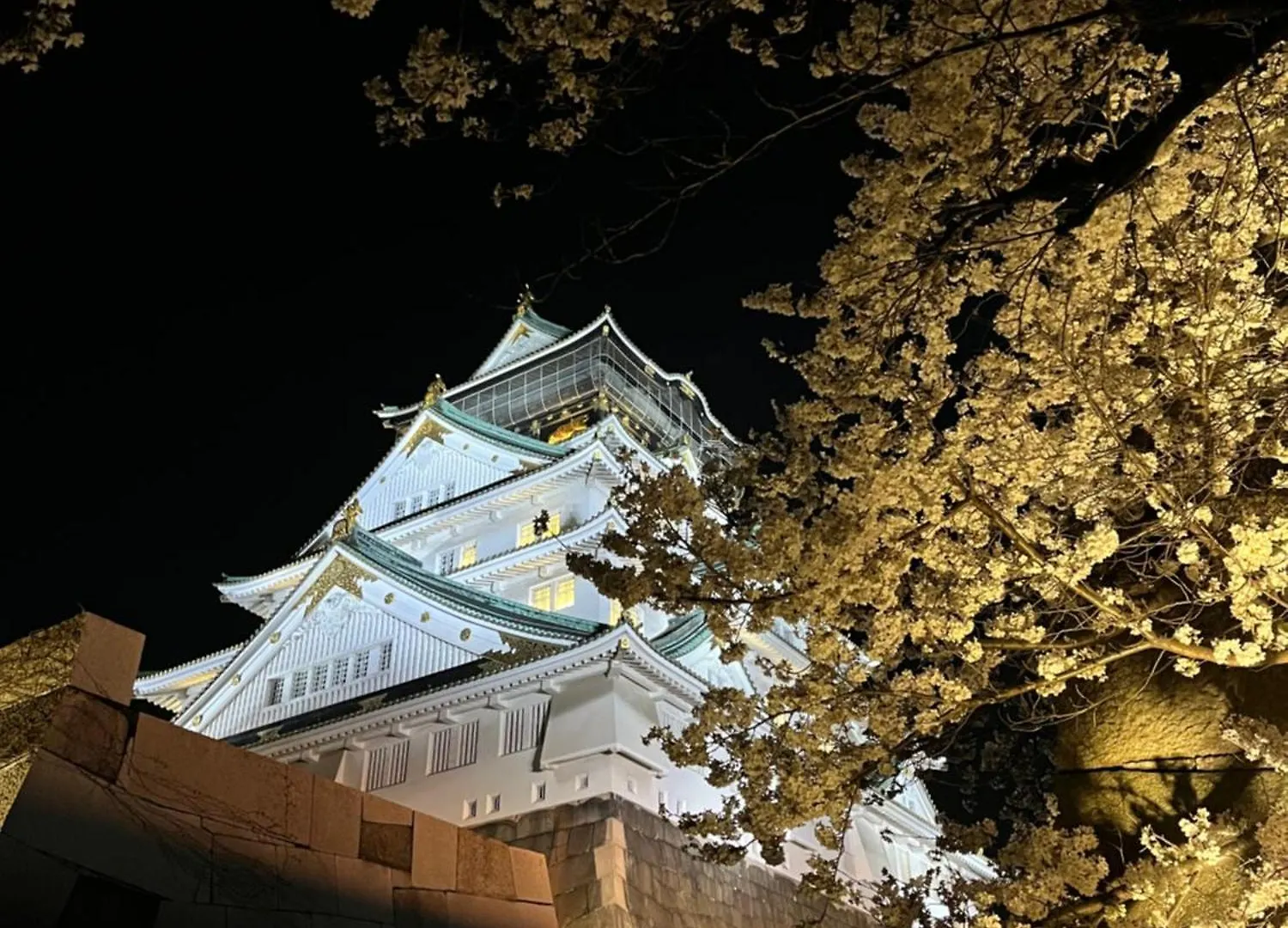 Guesthouse Atelier Ten 民泊アトリエ天 Osaka 0*,